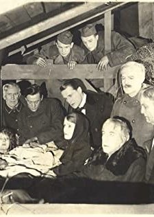 Democracy: The Vision Restored (1920) afişi