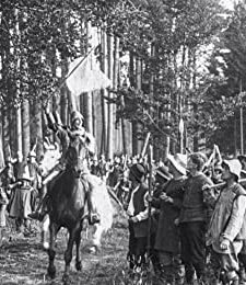 Der Ochsenkrieg (1920) afişi