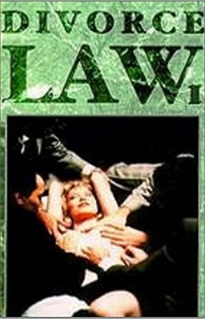 Divorce Law (1993) afişi Divorce Law (1993) afişi