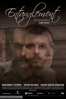 Dolanma (2015) afişi