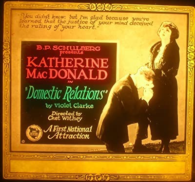 Domestic Relations (1922) afişi Domestic Relations (1922) afişi