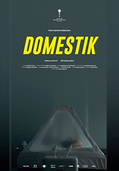 Domestik (2018) afişi Domestik (2018) afişi