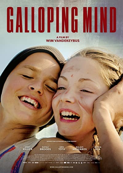 Dörtnala (2015) afişi Dörtnala (2015) afişi