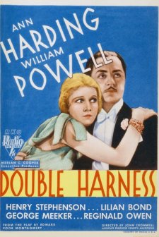 Double Harness (1933) afişi