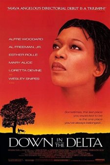 Down in The Delta (1998) afişi