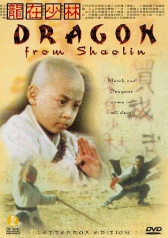 Dragon From Shaolin (1996) afişi Dragon From Shaolin (1996) afişi