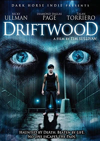 Driftwood (2006) afişi Driftwood (2006) afişi