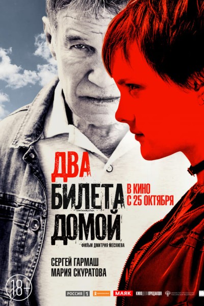 Dva bileta domoy (2018) afişi Dva bileta domoy (2018) afişi