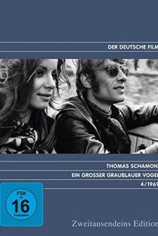 Ein großer graublauer Vogel