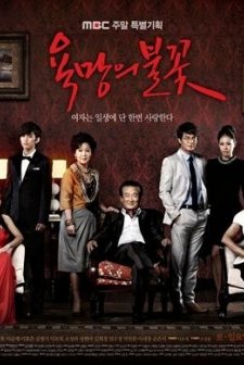 Flames Of Ambition (2010) afişi