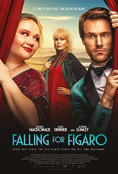 Falling For Figaro (2020) afişi Falling For Figaro (2020) afişi