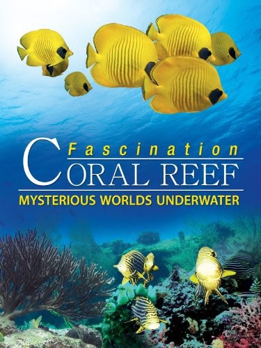 Fascination Coral Reef (2012) afişi Fascination Coral Reef (2012) afişi