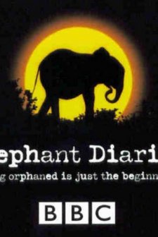 Fillerin günlüğü