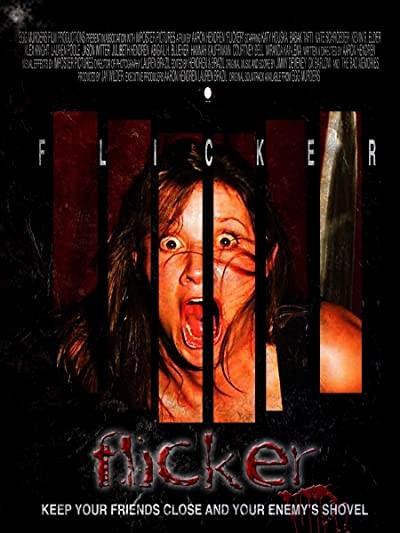 Flicker (2009) afişi Flicker (2009) afişi