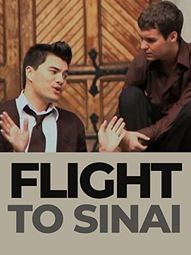 Flight To Sinai (2009) afişi Flight To Sinai (2009) afişi