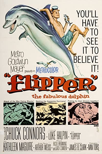 Flipper (1963) afişi Flipper (1963) afişi