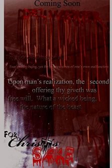 For Christ's Sake (2010) afişi