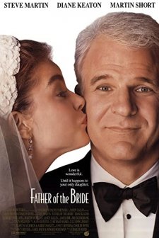 Gelinin Babası (1991) afişi