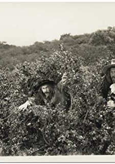 Goofs And Saddles (1937) afişi