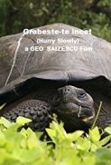 Grabeste-te încet (1981) afişi Grabeste-te încet (1981) afişi