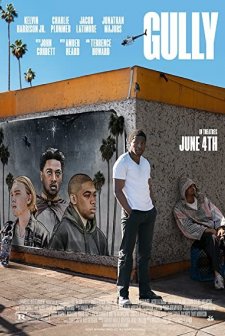 Gully (2019) afişi