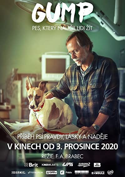 Gump - pes, který naucil lidi zít (2021) afişi Gump - pes, který naucil lidi zít (2021) afişi