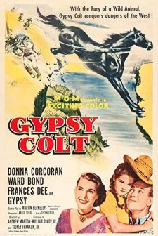 Gypsy Colt (1954) afişi