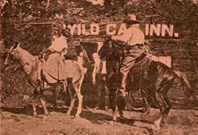 Half Breed's Treachery (1909) afişi Half Breed's Treachery (1909) afişi