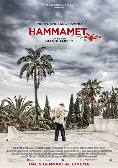 Hammamet (2020) afişi Hammamet (2020) afişi