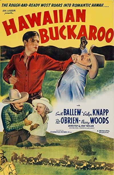 Hawaiian Buckaroo (1938) afişi Hawaiian Buckaroo (1938) afişi