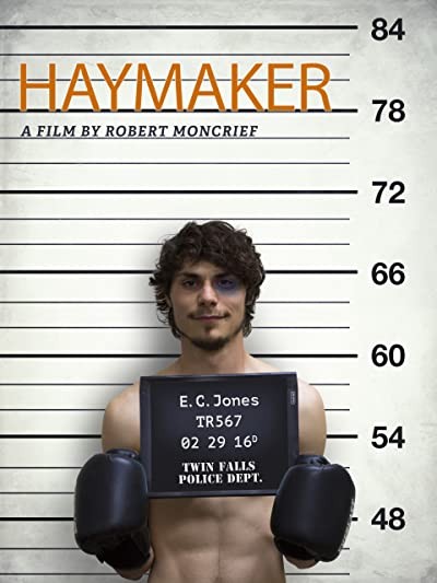 Haymaker (2017) afişi Haymaker (2017) afişi