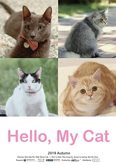 Hello, My Cat (2019) afişi Hello, My Cat (2019) afişi