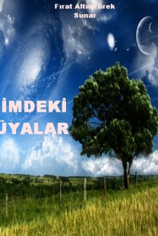 Içimdeki Rüyalar (2011) afişi