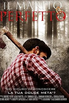 Il Marito Perfetto (2011) afişi