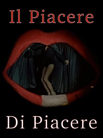 ıl Piacere Di Piacere (2002) afişi