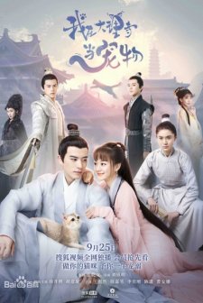 I'm a Pet At Dali Temple