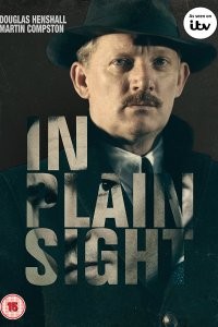 In Plain Sight (2016) afişi In Plain Sight (2016) afişi