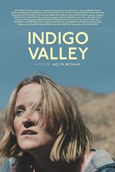 Indigo Valley (2020) afişi