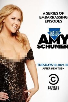 Inside Amy Schumer (2013) afişi