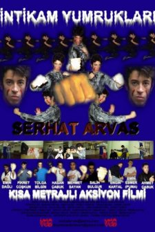 Intikam Yumrukları (2004) afişi