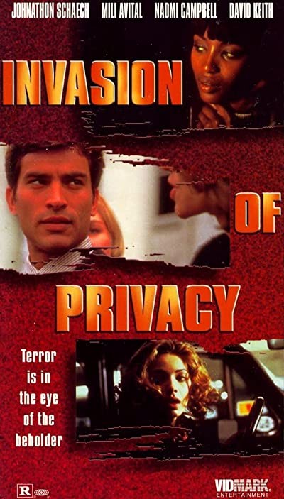 Invasion Of Privacy (1996) afişi Invasion Of Privacy (1996) afişi