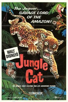 Jungle Cat (1959) afişi