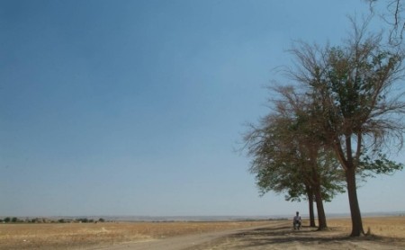 Kaybedenler (2009) afişi Kaybedenler (2009) afişi