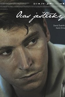 Kanatsız (2009) afişi