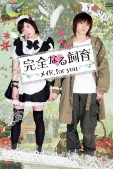 Kanzen Naru Shiiku: Maid For You (2010) afişi