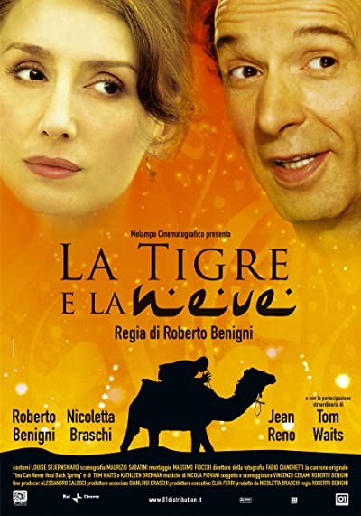 Kar ve Kaplan (2005) afişi Kar ve Kaplan (2005) afişi