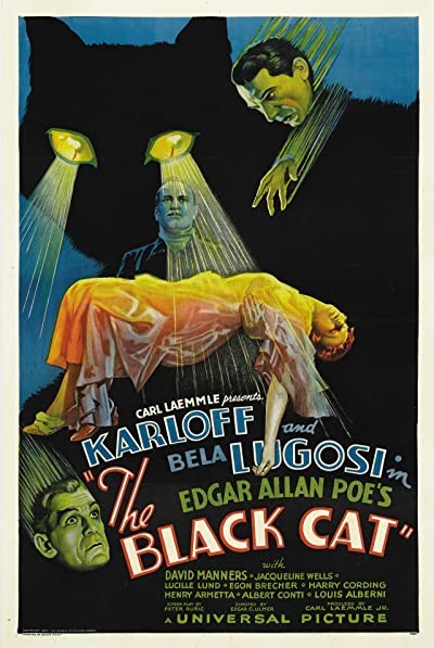 Kara Kedi (1934) afişi Kara Kedi (1934) afişi
