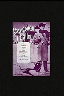 Karusellen I Fjällen (1955) afişi