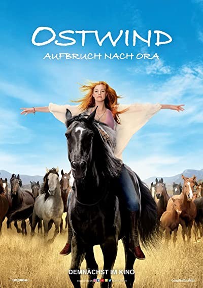 Kasırga 3 (2017) afişi Kasırga 3 (2017) afişi