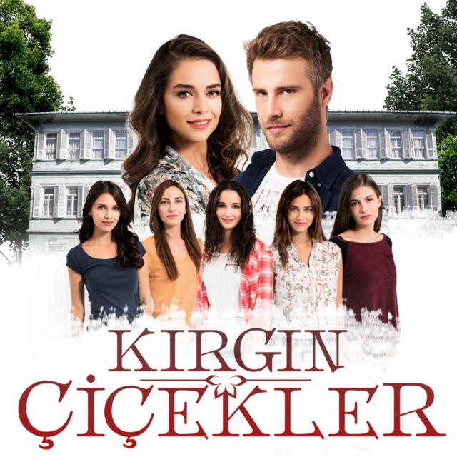 Kırgın Çiçekler (2024) afişi Kırgın Çiçekler (2024) afişi